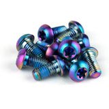 SRAM Titanium Bremseskive Skruesæt (12 stk.) – Sølv / Rainbow