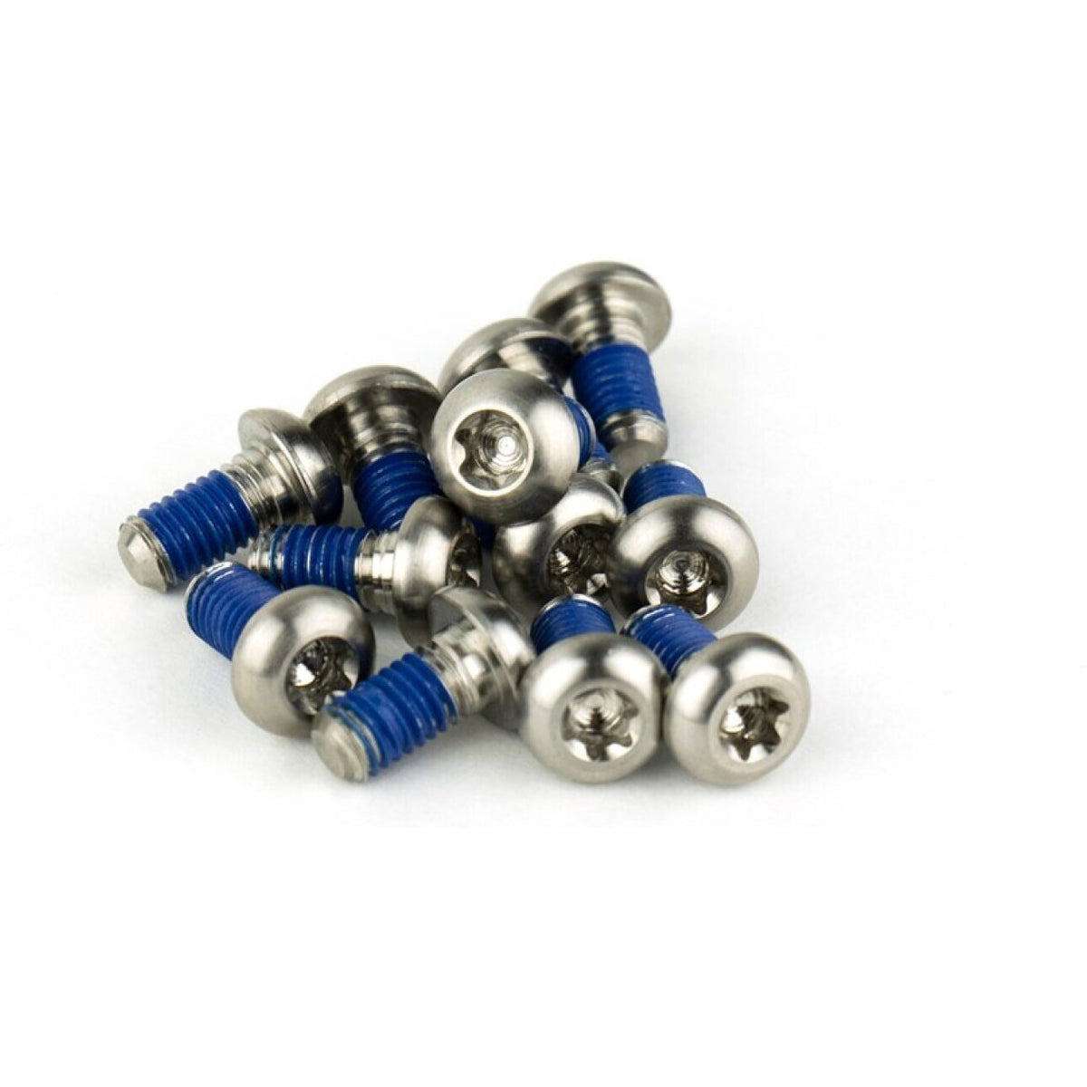 SRAM Titanium Bremseskive Skruesæt (12 stk.) – Sølv / Rainbow